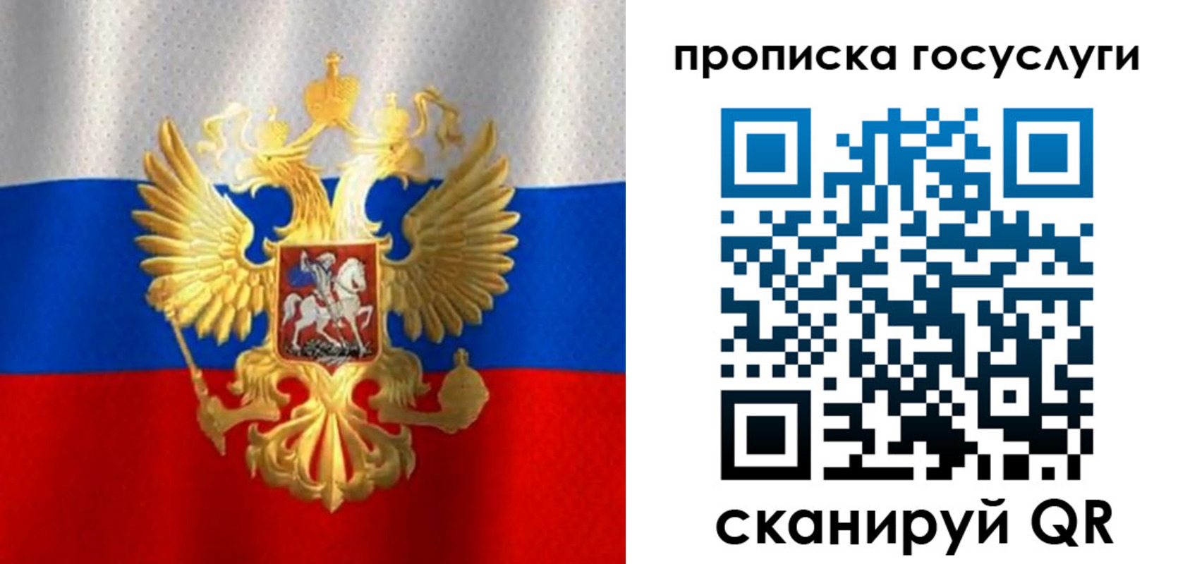 временная регистрация в Полярном